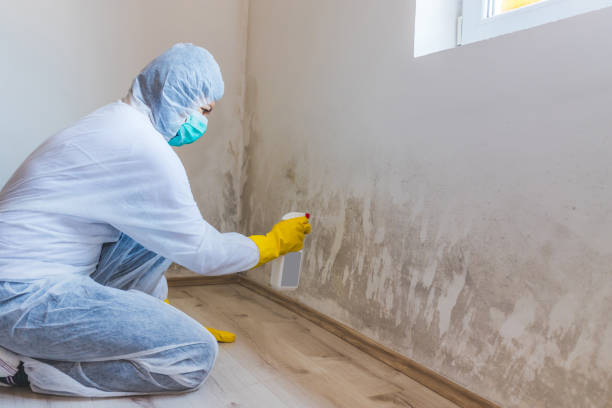 Mold Remediation specialist working in Centreville